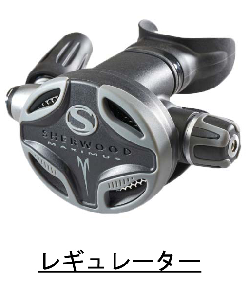 マキシマスプロイメージ